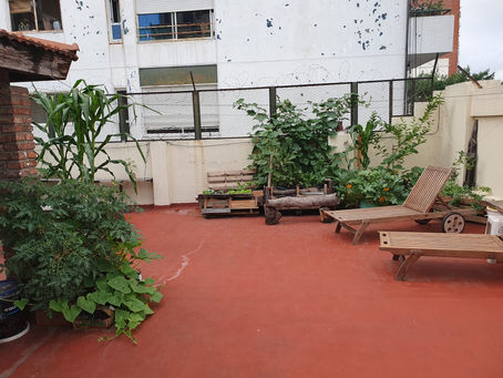 Low Budget Dachgarten in Buenos Aires