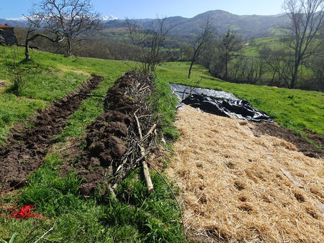 Wassermanagement in der Permakultur: Ein Schlüssel zur Resilienz