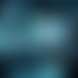 RISS: Reinforcing Security Services Effectively