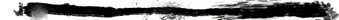 vertical line for mobile site.png