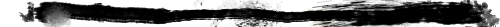 vertical line for mobile site.png