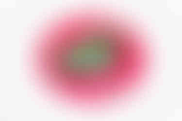 Block party Pizza_sticker Mockup.jpg