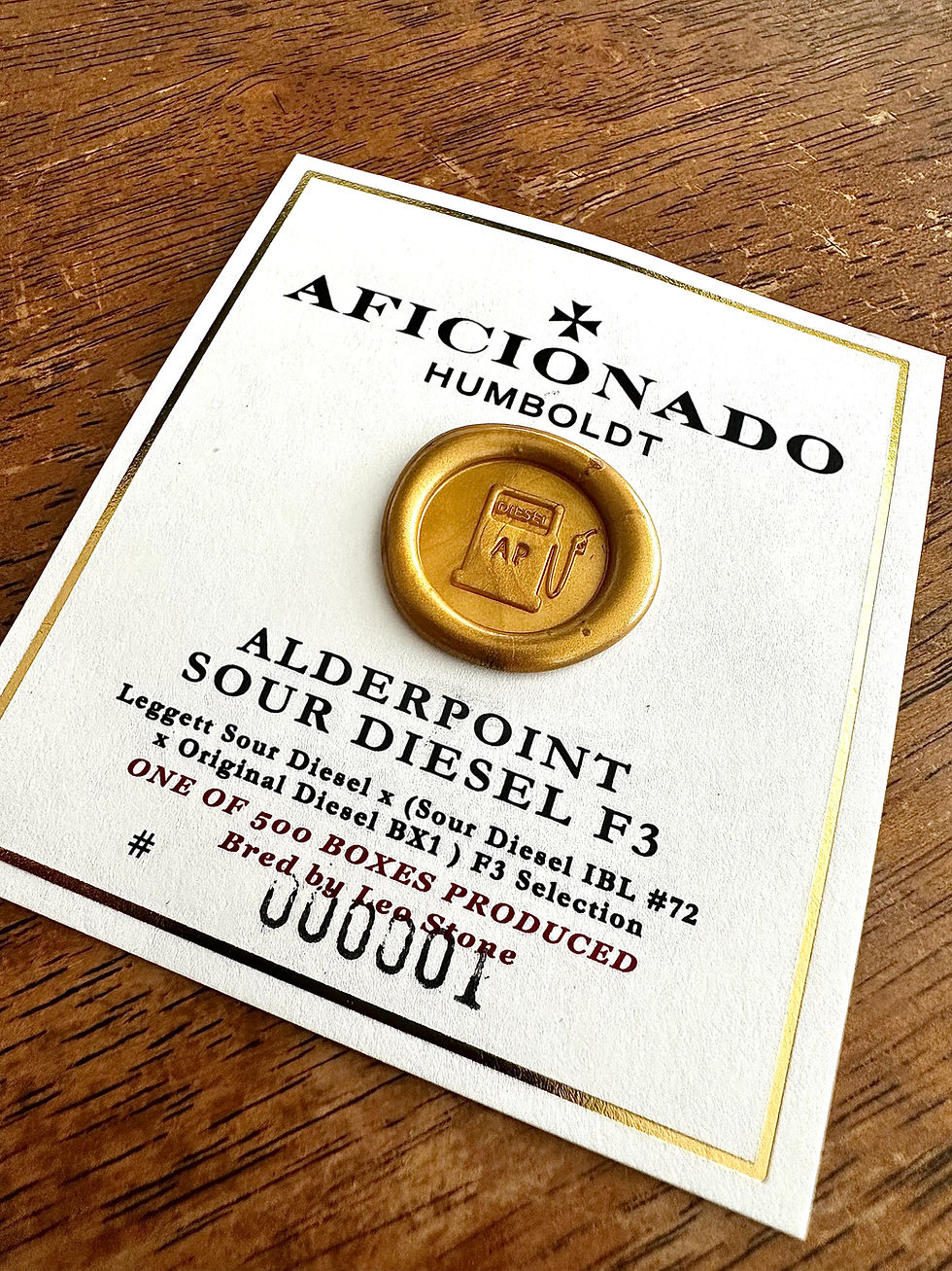 ALDERPOINT SOUR F3 aficionado