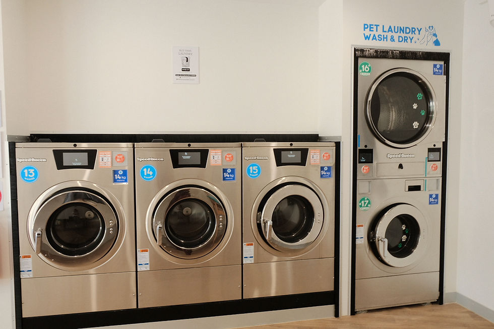 Interior of Bubblegoose Laundry, a self service laundromat in Glen Osmond with rows of washing machines and dryers