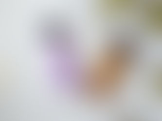 貴男シャンプーと貴女トリートメントについて