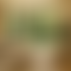 Feng Shui ve Modern Evler: Enerji Akışı mı, Estetik mi?