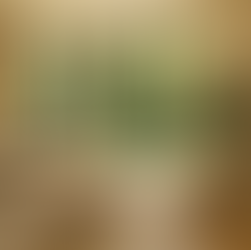 Feng Shui ve Modern Evler: Enerji Akışı mı, Estetik mi?