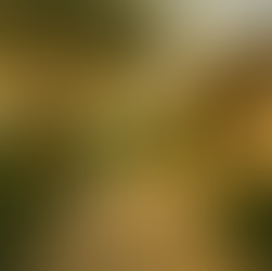 Bahçe Tasarımında Estetik ve Toplumsal Statü İlişkisi