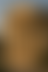 Sütunlar ve Güç Gösterisi: Antik Dönemden Modern Villalara