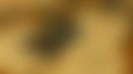 Proje Finansmanı: Kredi, Teminat, Hakediş Akışı