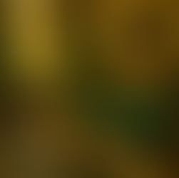 Mobilya Bir Karakterdir: İç Mekânın Görsel Senaryosu