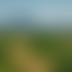 Antalya’da Tarla Yatırımı: Hangi Bölgelerde Değerleniyor?