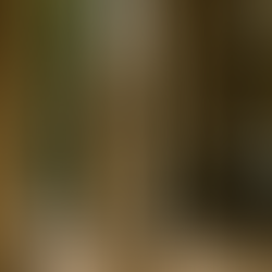 Heykel ve Sanat Eserlerinin Ev Mimarisiyle Bütünleşmesi