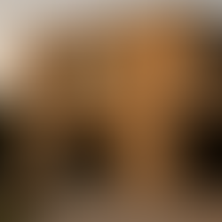 Doğal Taş Kullanımı: Dayanıklılık mı, Lüksün Göstergesi mi?