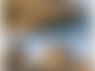 Kale, Sur ve Kule: Güvenlikten Statüye Tarihsel Yolculuk