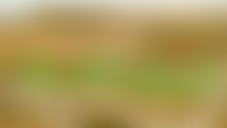 İzaleyi Şuyu Davası (Ortaklığın Giderilmesi Davası) Nedir? Nasıl Açılır?