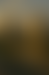 Ortak Alanlar ve Yeni Yapılar: Site Yaşamı Nasıl Değişiyor?