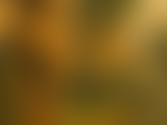 Giriş Katında Oturmanın Avantajları