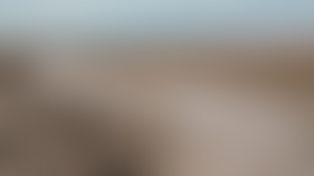 Zemin Etüdü Olmadan Alım Yapmak: Riskler ve Kayıplar