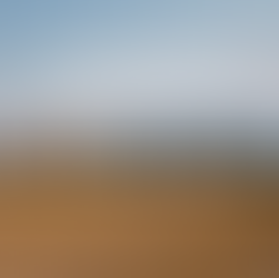 Faiz Oranları Düştüğünde Arsa Yatırımı Mantıklı mı?