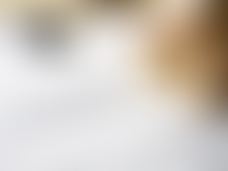 Tapu Türleri Nelerdir? Gayrimenkul Ansiklopedisi Serisi