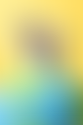 Arz ve Talep Nedir? Gayrimenkul, İnşaat ve Ekonomide Ne Anlama Gelir?