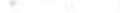 logo-_w_w.png