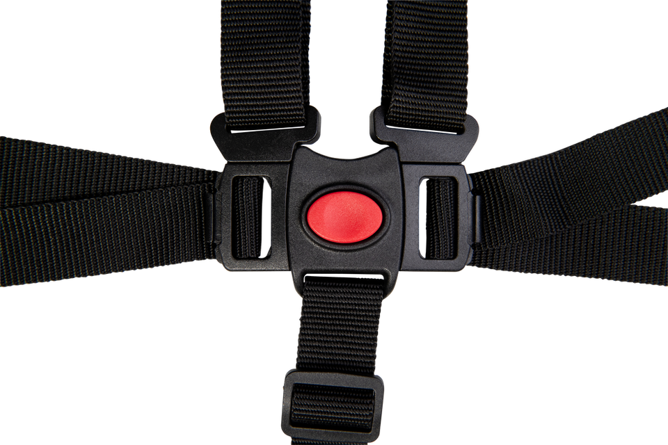 Fenix_072.png