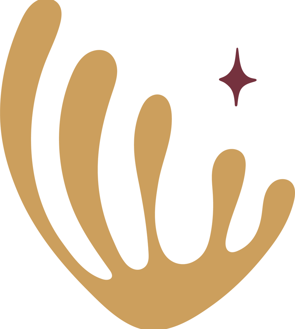 Arte identidade visual forma 01 Tacita.png