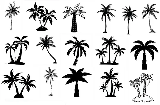Palm Svg Cut Files Silhouette Clipart Vi Svgclipart