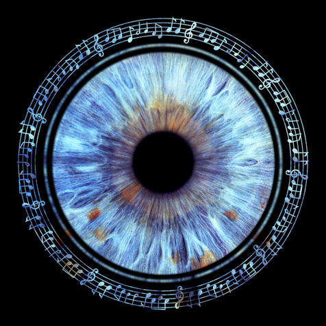 One iris with sheet music around it