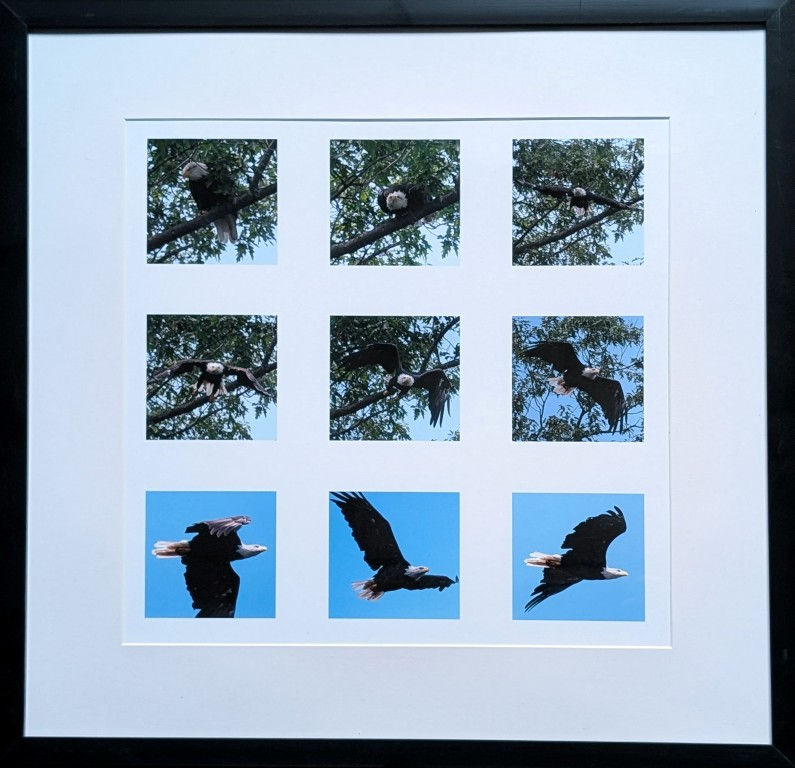 3x3 Artist Proof Grid Collage