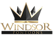 Windsor Pontoon boats icon
