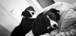 20190112_233641-01