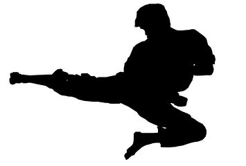 karate mma.jpg