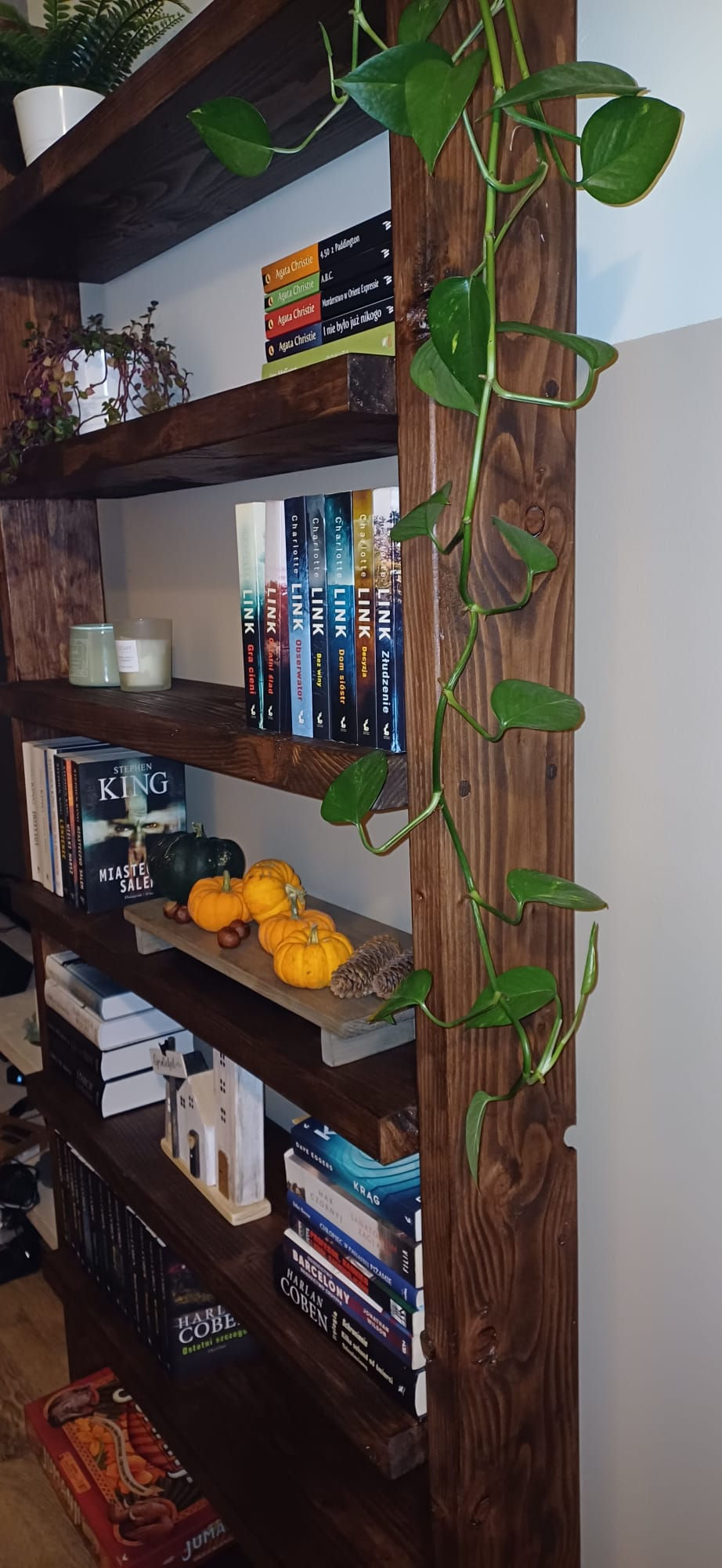 Thumbnail: Rustic Wood Bookcase