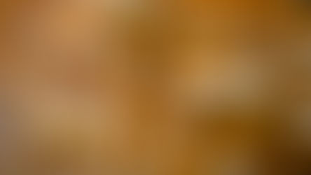 Consultant's Corner: Templates & Tokens: Getting the Most Out of Your Metadata