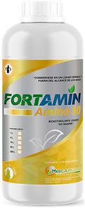 MOCKUP - FORTAMIN AMINO 50.png