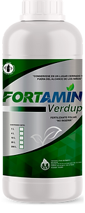 BOTELLA FORTAMIN VERDUP.png