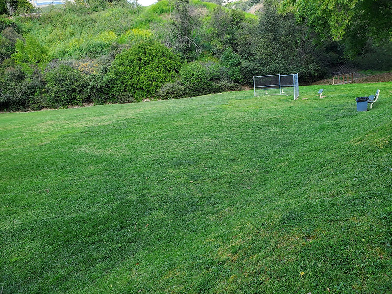 20230417_172508.jpg