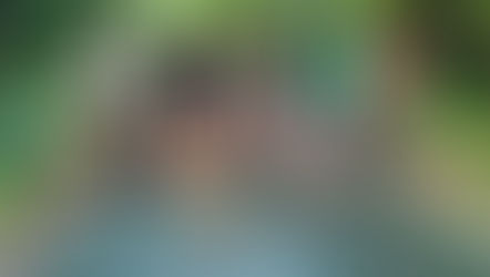 တိုက်ပွဲသတင်းထုတ်ပြန်ချက်