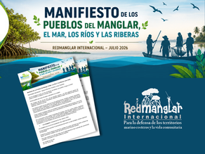 Leia em português o manifesto da Redmanglar Internacional em defesa dos manguezais, dos maretórios, dos direitos territoriais e da justiça climática.