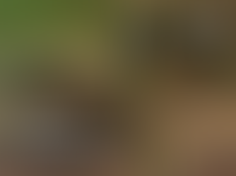 Primeiro trimestre de 2026: novo patamar para a pesca artesanal no Vale do Ribeira, conquistas nos territórios e caminhos em construção