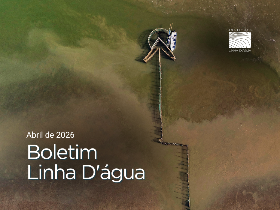 Primeiro trimestre de 2026: novo patamar para a pesca artesanal no Vale do Ribeira, conquistas nos territórios e caminhos em construção