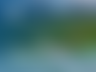 Gestão comunitária da visitação no Núcleo Perequê: um caminho de mobilização social e resiliência