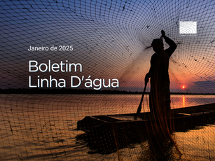 Boletim de notícias de janeiro de 2025 do Instituto Linha D'Água