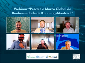 Em webinar internacional, especialistas discutiram como a implementação do Marco Global de Biodiversidade de Kunming-Montreal (GBF) depende do engajamento de toda a cadeia da pesca, da captura ao consumo, e do reconhecimento de pescadores e pescadoras como detentores de direitos e de conhecimento e aliados da conservação.