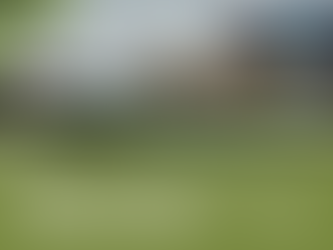 Barqueata histórica foi destaque do terceiro dia da COP30