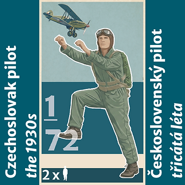 73006 pilot čs.png