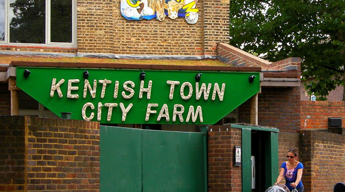 Kentish Town City Farm